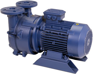 Liquid Ring Vacuum Pumps: Compact, Motor Mount