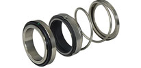 Liquid Ring Mechanical Seals