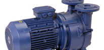 Liquid Ring Vacuum Pumps